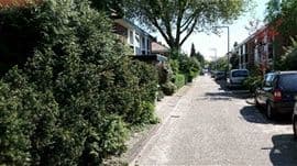 Rustige woonstraat in Schiebroek met heggen, rijtjeshuizen en geparkeerde auto’s